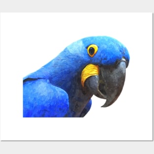 Blue Parrot Portrait Posters and Art